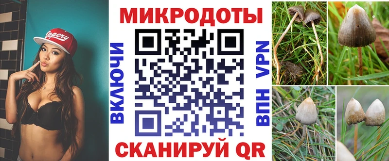 купить закладку  Новый Оскол  Галлюциногенные грибы мухоморы 